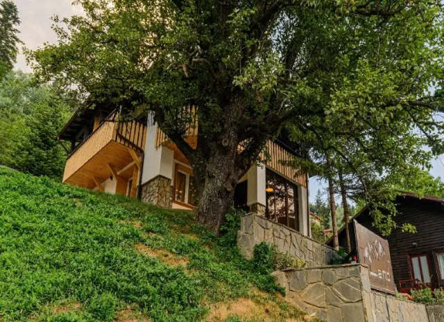 Villa Blend Mountain