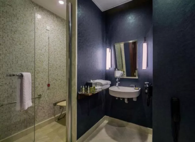 Hotel Doubletree By Hilton Istanbul Topkapi