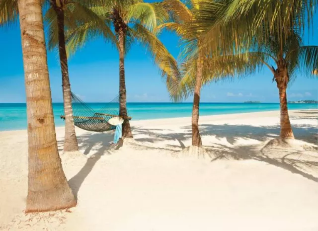 Couples Swept Away - Adults Only