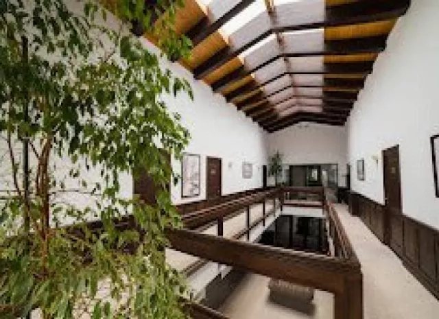 Vila Piatra Pinului