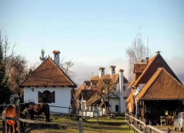 Pensiunea Contele Kalnoky