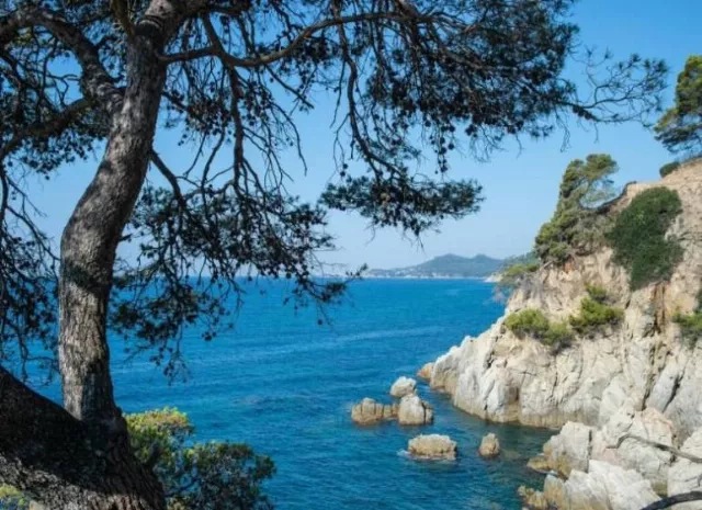 Lloret Santa Rosa By Pierre Vacances