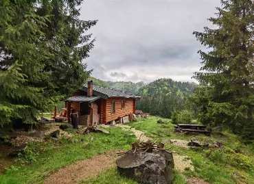 Cabana Paulownia, Romania / Maramures / Budesti