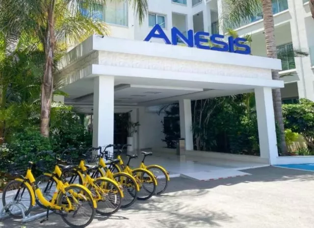 Hotel Anesis