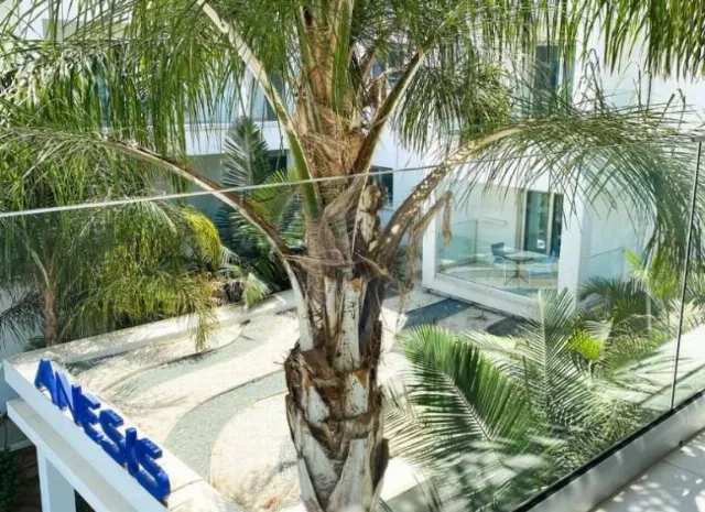 Hotel Anesis