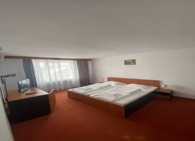 Hotel Europa Cameră Dublă matrimonială #2