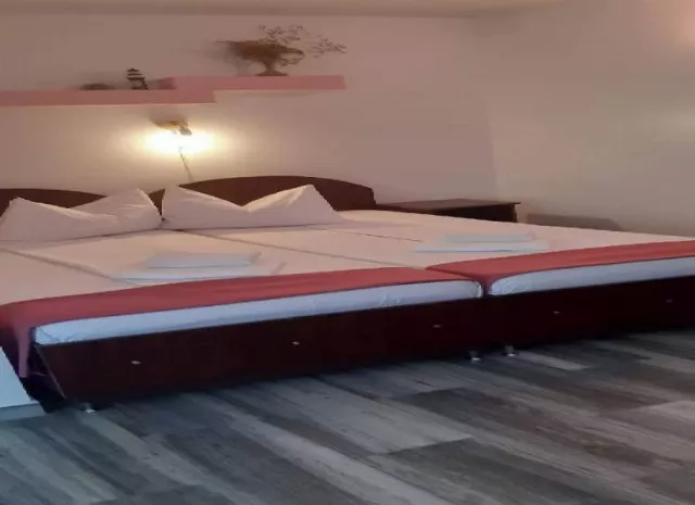 Casa David Sulina