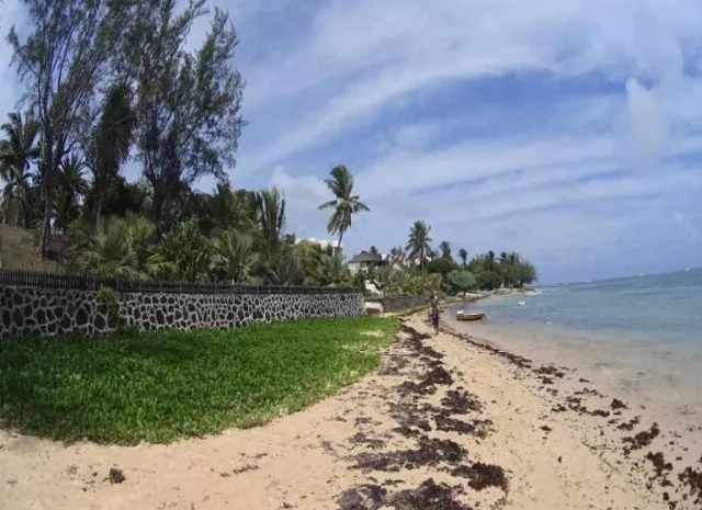 Studios & Apartments Allamanda