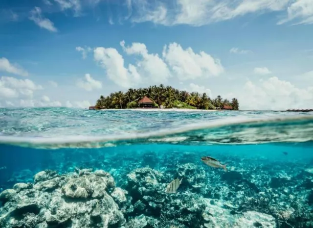 Hotel Robinson Club Maldives - Adults Only