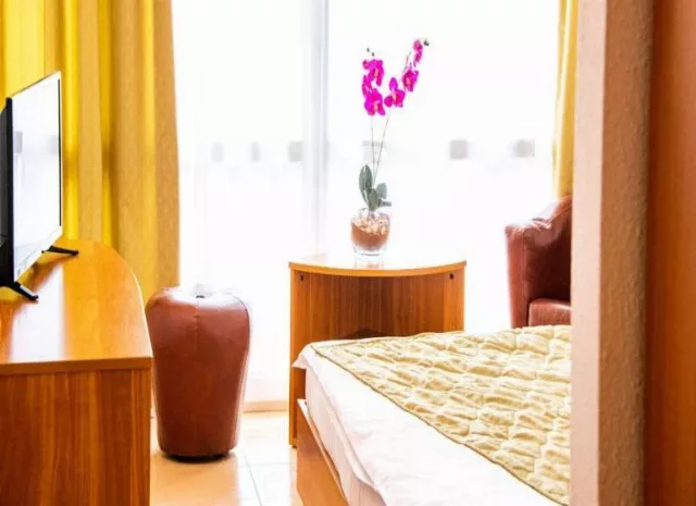 Hotel Mures Cameră Dublă superioară