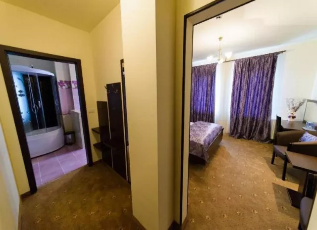 Hotel Miky Arad