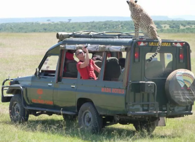 Camp Fig Tree - Maasai Mara