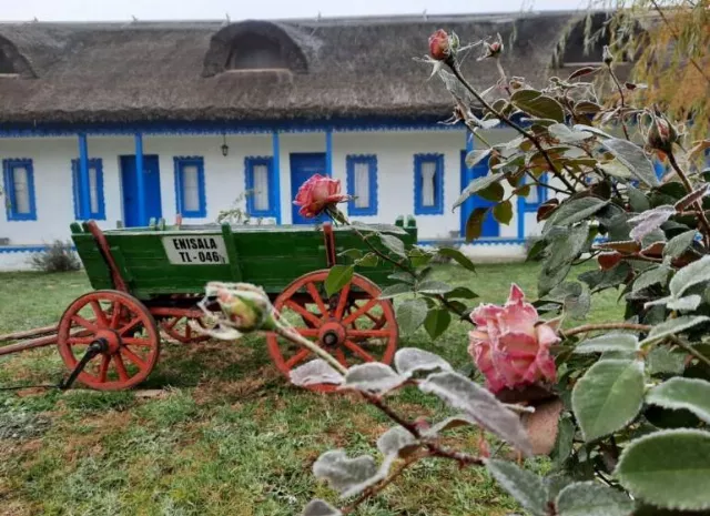 Pensiunea Suvenir De Dobrogea