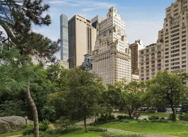 Hotel The Ritz-carlton New York, Central Park