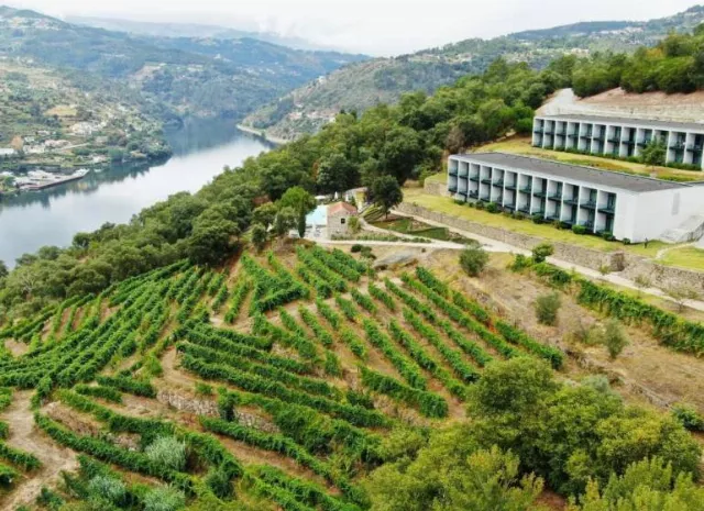 Hotel Douro Palace Resort & Spa