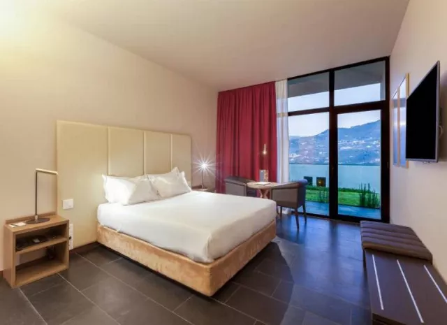 Hotel Douro Palace Resort & Spa