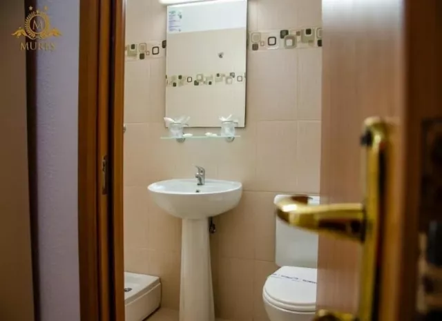 Hotel Mures Cameră Dublă superioară #2