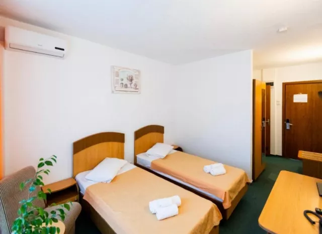Hotel Siret Cameră Dublă standard