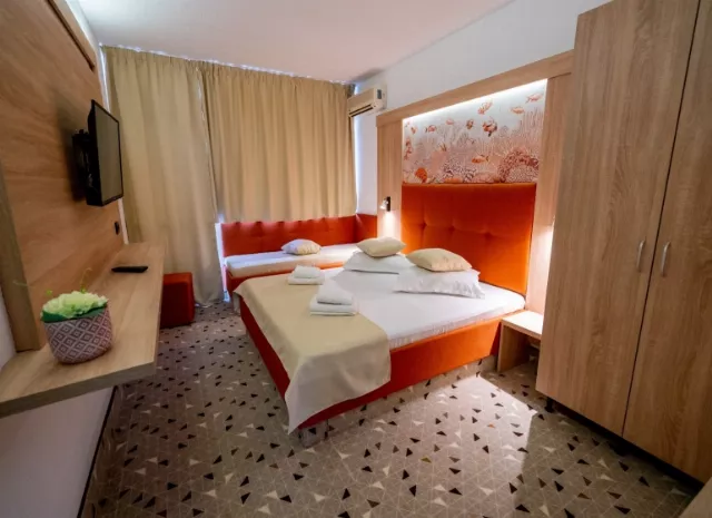 Hotel Delta Cameră Dublă matrimonială