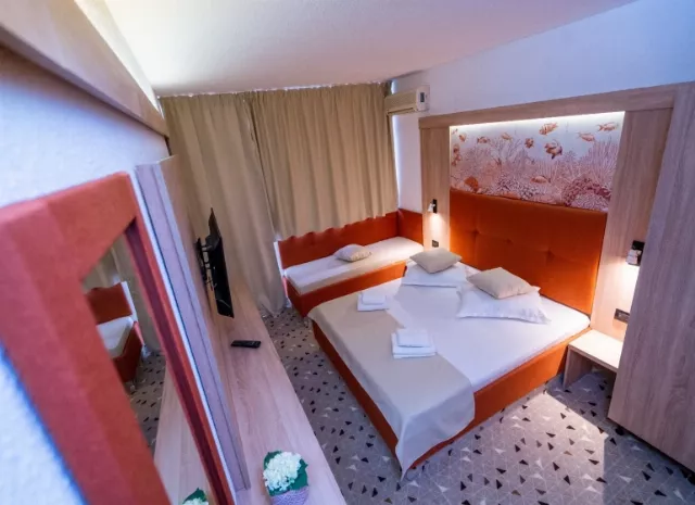 Hotel Delta Cameră Dublă matrimonială #5