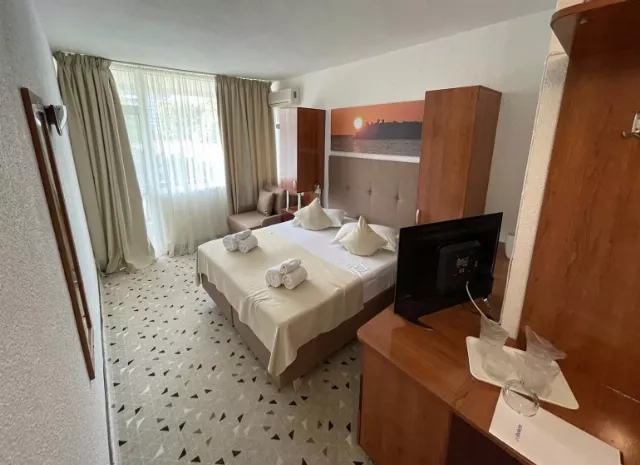 Hotel Delta Cameră Dublă cu fotoliu extensibil