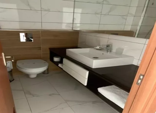 Hotel Meteor Cameră Dublă deluxe #4