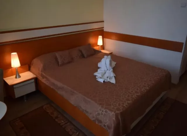 Hotel Cometa Cameră Dublă superioară #2