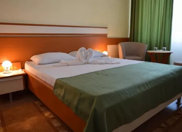 Hotel Cometa Cameră Dublă standard