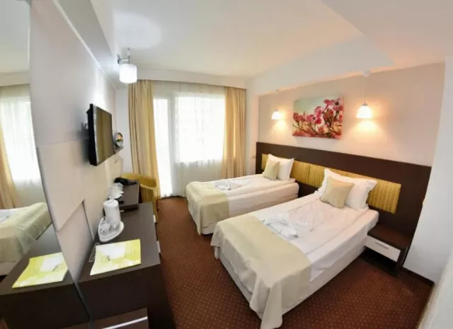 Hotel Olimpic Cameră Dublă #3
