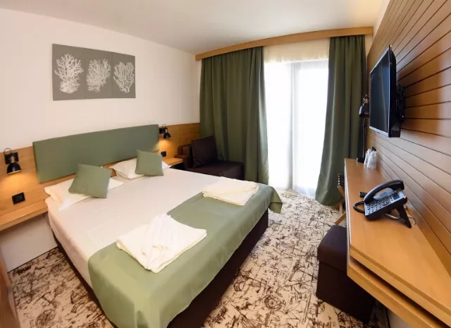 Hotel Poseidon Cameră dublă Seaview