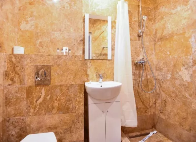 Hotel Tismana Cameră Dublă superioară #4