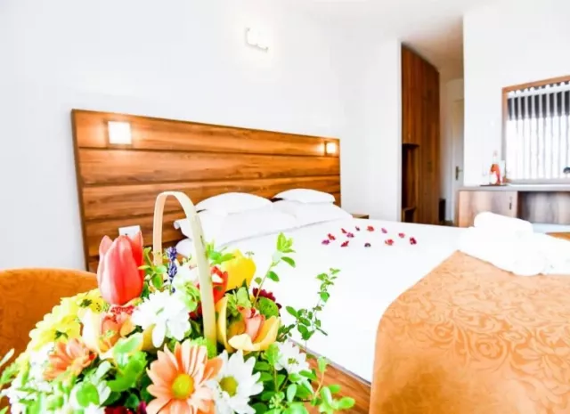 Hotel Tismana Cameră Dublă superioară #3