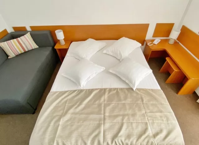 Hotel Decebal Cameră Dublă superioară matrimonială #3
