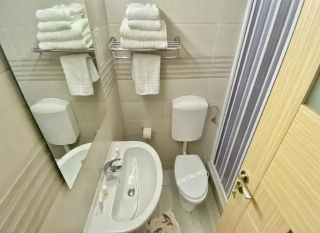 Hotel Decebal Junior suite #2