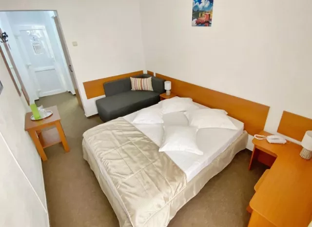 Hotel Decebal Cameră Dublă superioară matrimonială #2