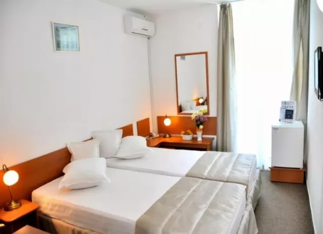 Hotel Decebal Twin Standard