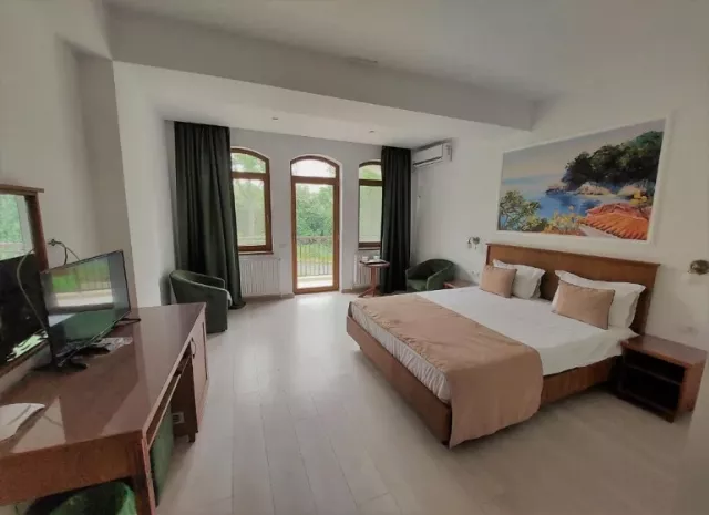 Hotel Insula Dublă standard vedere la parc