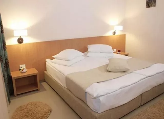 Hotel Sara Cameră Dublă parter