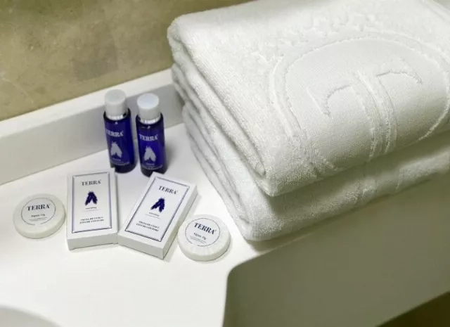 Hotel Terra Cameră Dublă parter #4