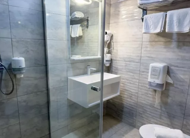 Hotel Avenue Cameră Dublă king #4