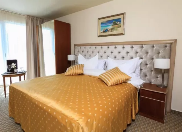 Hotel Carmen Internațional Cameră Dublă