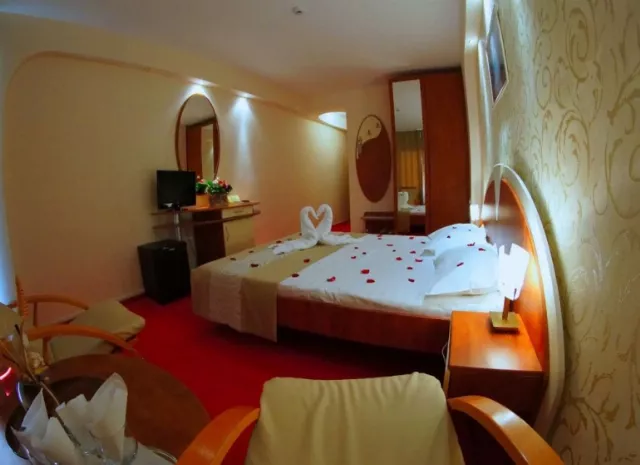 Hotel Afrodita Cameră Dublă #4