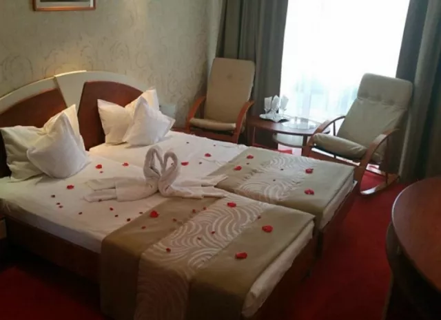 Hotel Afrodita Cameră Dublă #2