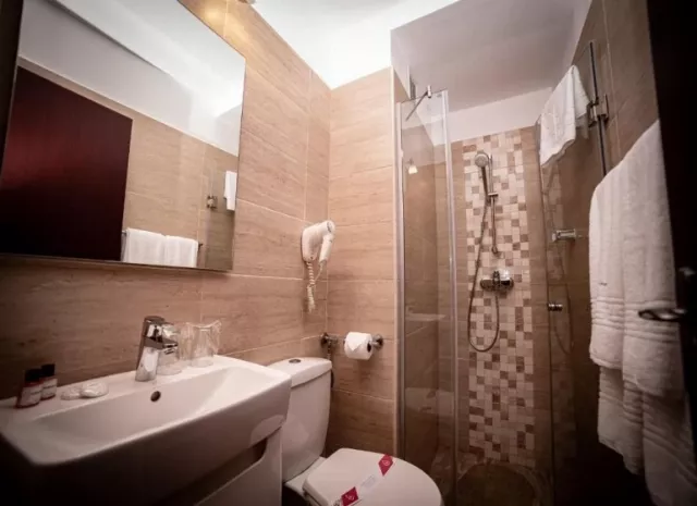 Hotel Corina Cameră Dublă cu balcon #4