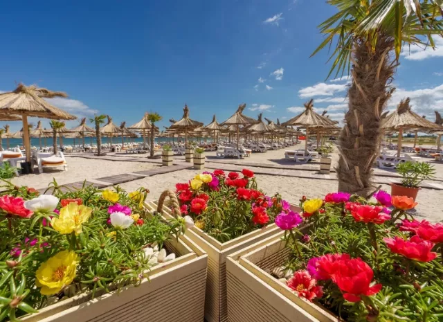 Hotel Mera Resort