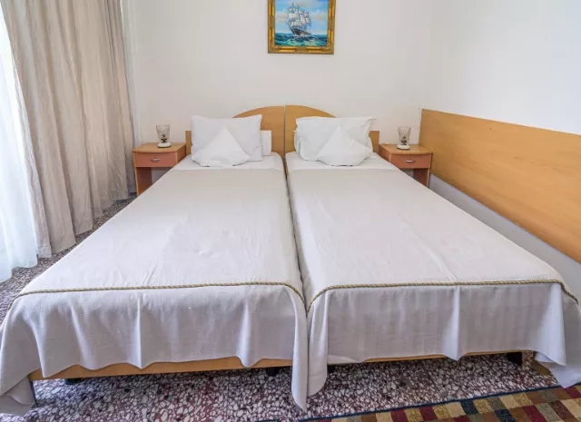 Hotel Raluca Cameră Dublă twin #3
