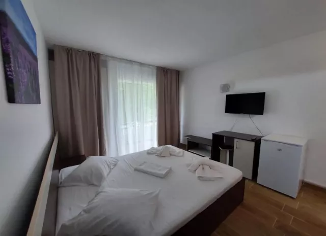 Hotel Rodica Cameră Dublă #6