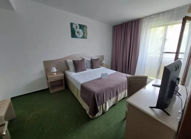 Hotel Bran Brad Bega Cameră Dublă economy #3