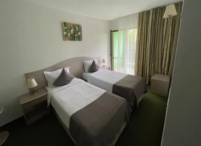 Hotel Bran Brad Bega Cameră Dublă economy #5