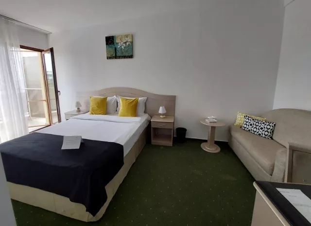 Hotel Bran Brad Bega Cameră Dublă standard